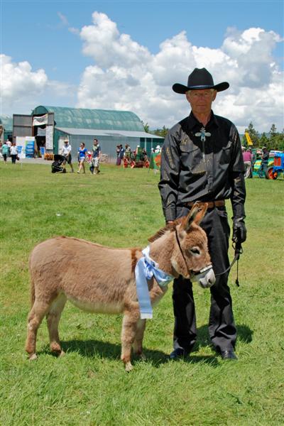 Clovercrest Starlet, Reserve Champion at Clevedon Show aged 11 months